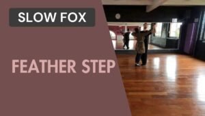Slow fox : Feather step