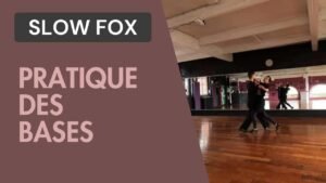 Slow Fox : Pratique des bases