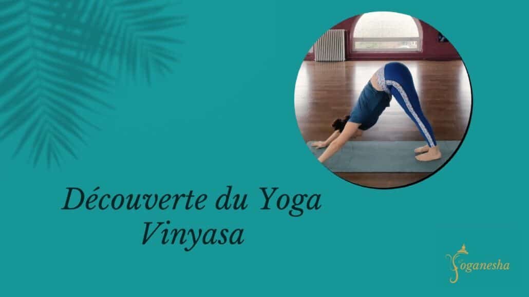 Découverte du Yoga Vinyasa
