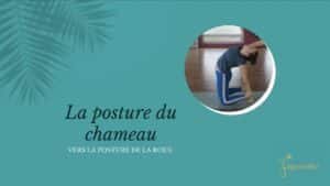 Vers la roue : Le chameau