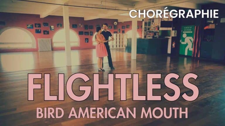 Flightless bird american mouth de the Iron & Wine