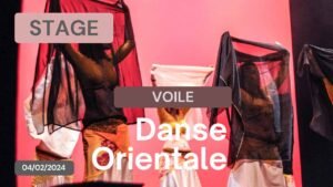 Stage de Danse orientale Technique de Voile du 04/02/2024