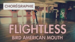 Flightless bird american mouth de the Iron & Wine