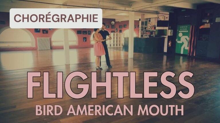 Flightless bird american mouth de the Iron & Wine